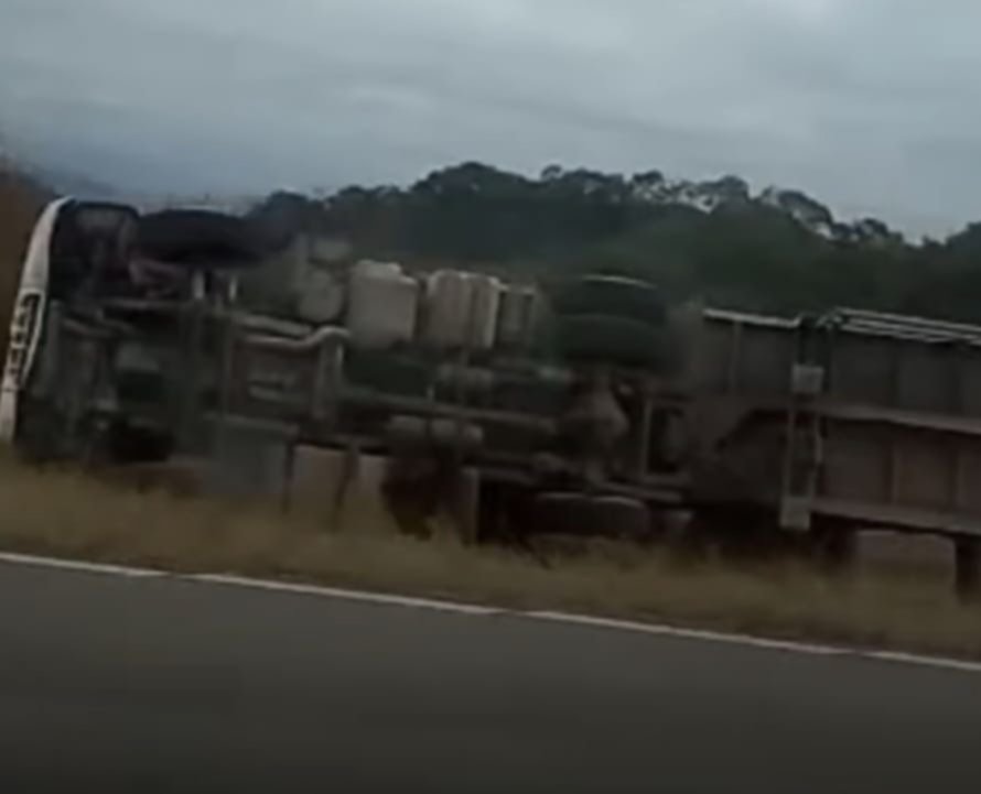 Volc Un Cami N Que Transportaba Vacas Y Automovilistas Se Detuvieron